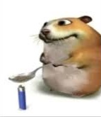 Animal 1